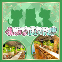店舗写真 あにまるふぉれすと - 東心斎橋のコンカフェ