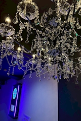 mimosa・ミモザ - 松山市のガールズバー 店舗写真