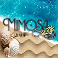 店舗写真 mimosa・ミモザ - 松山市のガールズバー