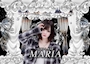 ピックアップニュース 📢 Girls Bar Maria 女の子大募集中🍷✨