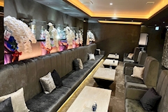 APOLLONIA・アポロニア - 東武宇都宮のキャバクラ 店舗写真