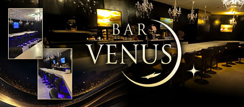 VENUS・ヴィーナス - 錦糸町のガールズバー