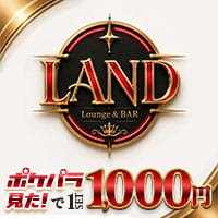 ピックアップニュース オープン記念!ご新規様限定お得なクーポン発行中♪