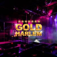 店舗写真 GOLD HARLEM・ゴールドハーレム - 宮崎 中央通りのキャバクラ