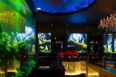 CLUB HARMAN・クラブ ハーマン - 宮崎 ニシタチのキャバクラ 店舗写真