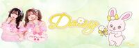 NEW DAISY