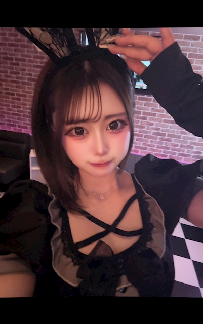 ピックアップニュース 🐰新人バニー🐰