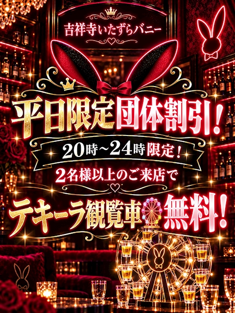 ピックアップニュース 🐰平日限定・団体割引開催🐰