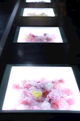 GRACE・グレイス - 西八王子のガールズバー 店舗写真