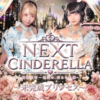 未完成プリンセス