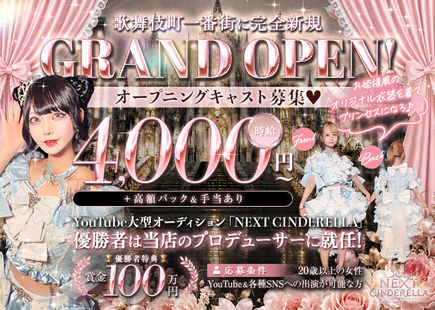 未完成プリンセス