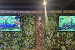 Alivio・アリビオ - 旗の台のガールズバー 店舗写真