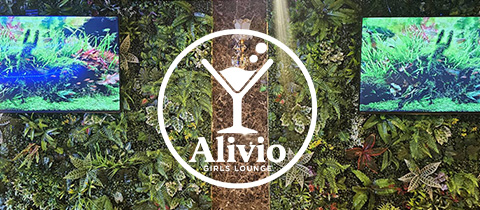 Alivio・アリビオ - 旗の台のガールズバー