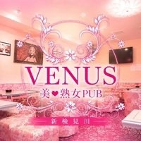 店舗写真 美熟女パブヴィーナス・ヴィーナス - 新検見川のパブ/スナック
