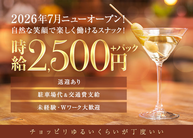 岐阜 柳ヶ瀬スナック・スナック CHINAMIの求人