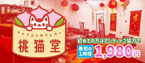 チャイニャカフェバー桃猫堂 香川店・モモネコドウ - 高松市のコンカフェ