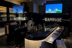 Lounge Bar RAMPAGE・ランペイジ - 湯島のパブ/スナック 店舗写真