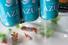 SNACK AZUL・アズール - 鶴岡市のスナック 店舗写真