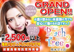 Peach Tree 2 熊本宇土店
