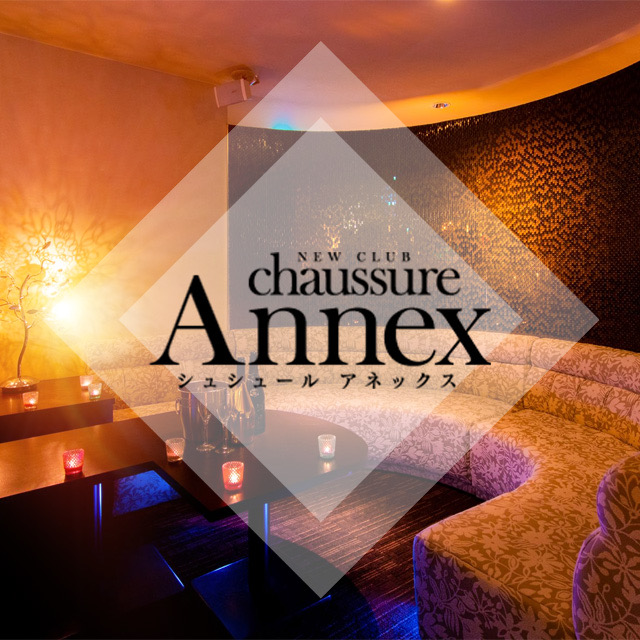 chaussure Annex
