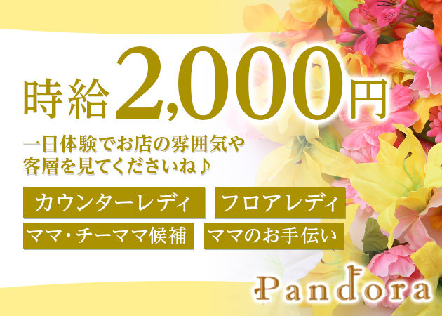 Pandora 職種:カウンターレディ
フロアレディ
ママ・チーママ候補
ママのお手伝い