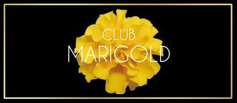CLUB MARIGOLD・マリーゴールド - 岡崎のキャバクラ