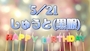 ピックアップニュース 🎂Happybirthday🎂