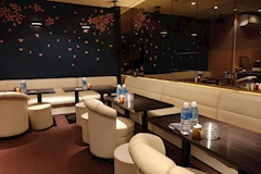 Club 桜塾・サクラジュク - 国分町のキャバクラ 店舗写真