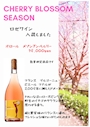 ピックアップニュース 桜満開 ロゼワイン入荷