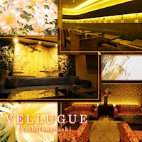店舗写真 西船橋 VELLUGUE・ヴェルージュ - 西船橋のキャバクラ