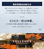 ピックアップニュース 夏季営業日のお知らせ