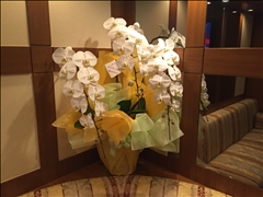 CLUB Ciel・シエル - 歌舞伎町のクラブ/ラウンジ 店舗写真