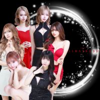 店舗写真 CLUB ALBATROSS・アルバトロス - 新潟駅前のキャバクラ