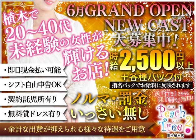 熊本 植木町キャバクラ・Peach Tree 2 熊本植木店の求人