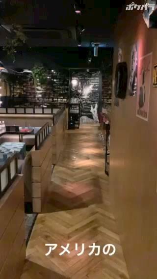 ドレスライン川崎 ドレスラインカワサキの求人 川崎駅前 キャバクラ ポケパラ体入