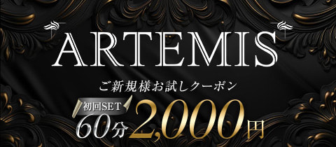 ARTEMIS・アルテミス - 川崎駅前のパブ/スナック