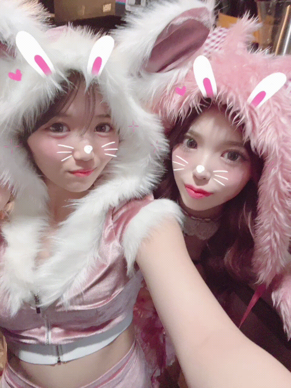 ピックアップニュース バニーコスプレ写真集🐰ྀི👯‍♀️❣️