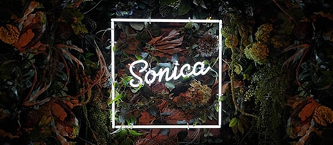 Girl's Bar Sonica・ソニカ - 千葉・富士見町のガールズバー