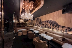 CLUB ZOO 金沢・クラブ ズー カナザワ - 金沢片町のキャバクラ 店舗写真