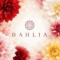 CLUB DAHLIA