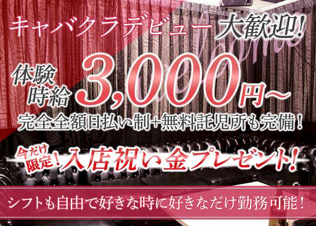 大人のキャバクラ platinum club Re:Gina 職種:フロアレディ
