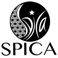 Spica スピカ 苦竹のクラブ ラウンジ ポケパラ