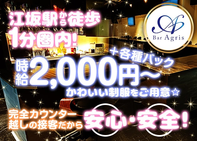Bar Agris 職種：カウンターレディ