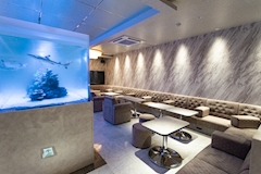 すすきの ニュークラブ・エクセレント 店舗写真