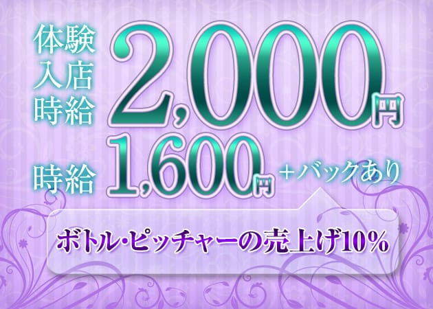 marica marca 職種：フロアレディ