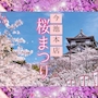 ピックアップニュース 🌸ソシアル今池『春の桜祭り』🌸