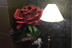 Apsara。・アプサラ - 豊橋のスナック 店舗写真