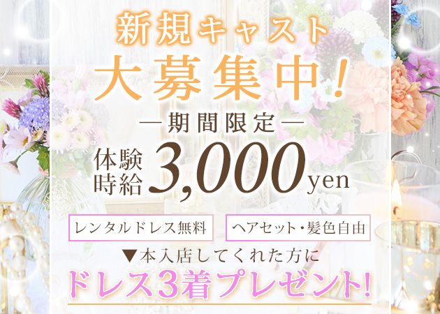 ルミナス・佐野の求人