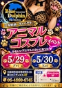 ピックアップニュース 【5/29・30】アニマルコスプレイベント🐈