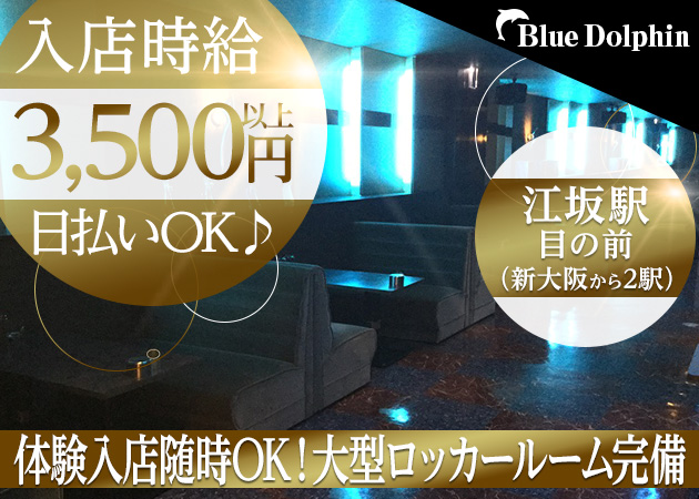 江坂 キャバクラ・ブルードルフィンの求人